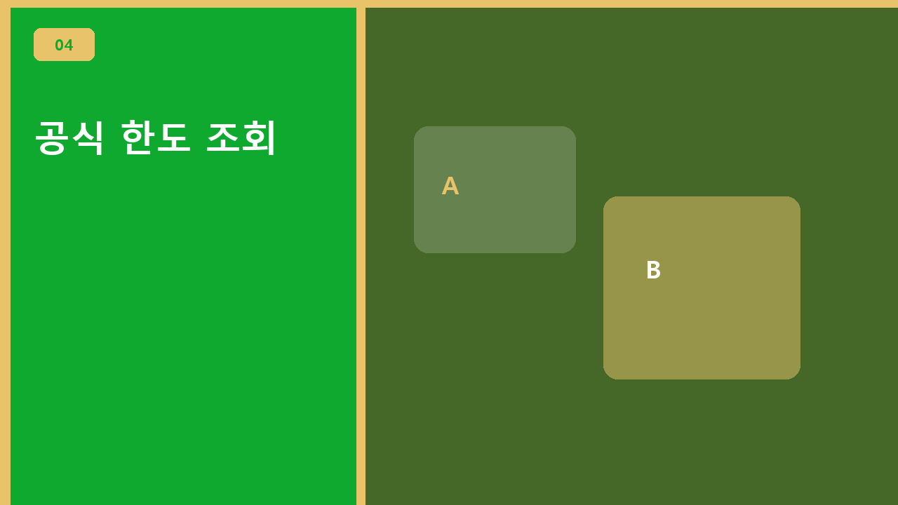 공식 한도 조회